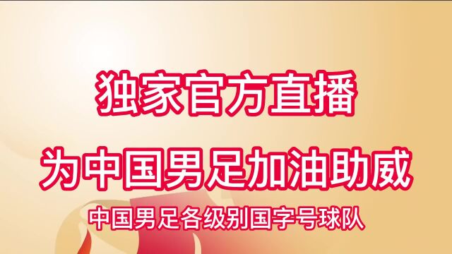 国际友谊赛国足官方联赛直播新西兰VS中国男足在线(高清)在线全场赛事