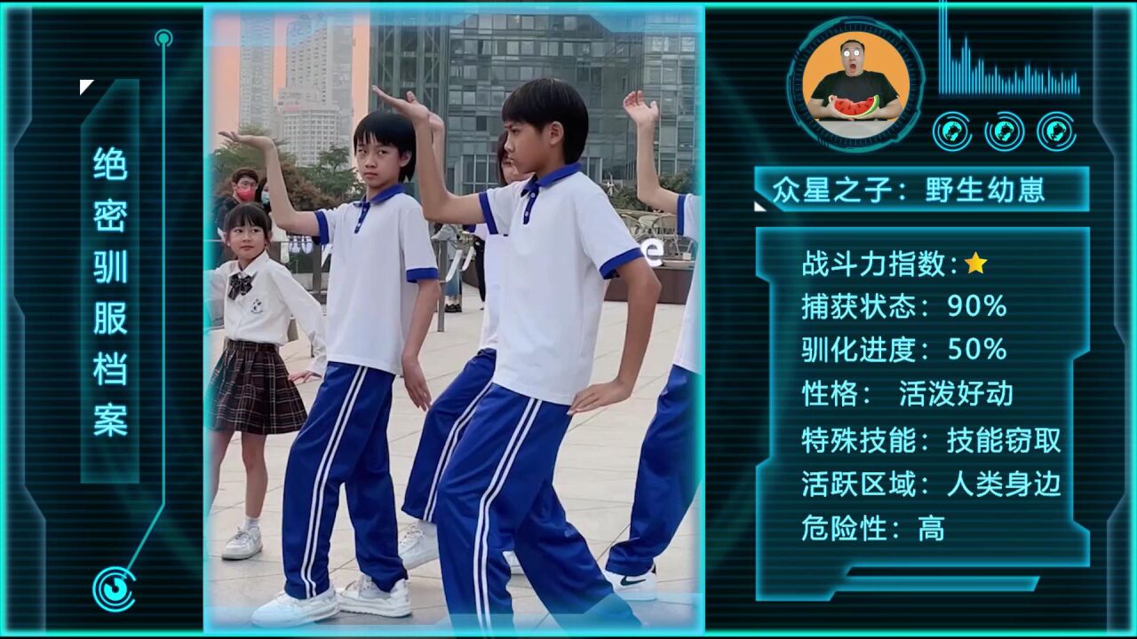 人类早期驯服野生幼崽的珍贵资料!_腾讯视频