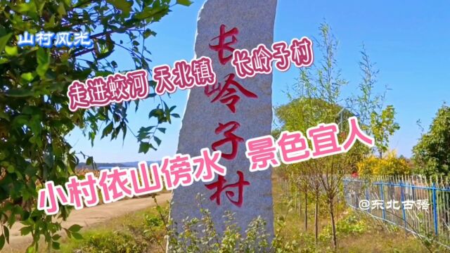 走进蛟河天北镇长岭子村,小村依山傍水景色宜人,田野一片金黄!