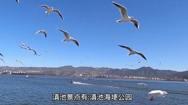 滇池旅游景点有哪些?