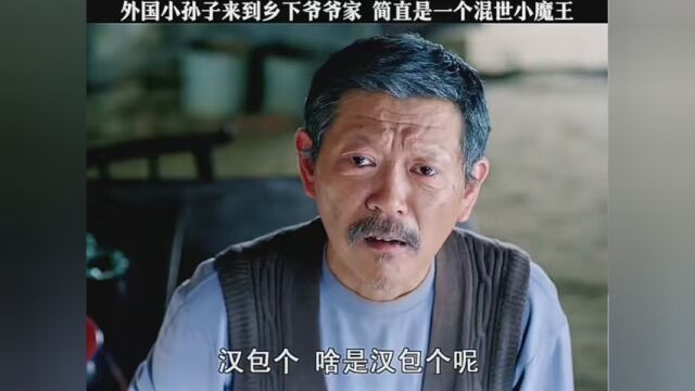 第7集|dog太阳滴 #孙子从美国来