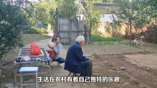 农村独特的乐趣:摘果子,看日出日落……