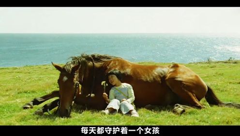 女孩养大一匹小马,没想到小马非常通人性，感人催泪电影《方糖》