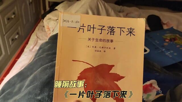 睡前故事:《一片叶子落下来》:带你了解生命的意义