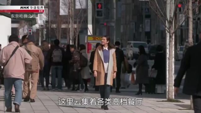 枪鱼 (剑鱼、旗鱼)