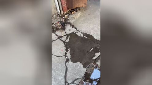 哈尔滨市香坊区木材街城东新居小区D区一号楼七单元漏水长达4个月无人处理，垃圾满地，楼梯围栏被拆除。
