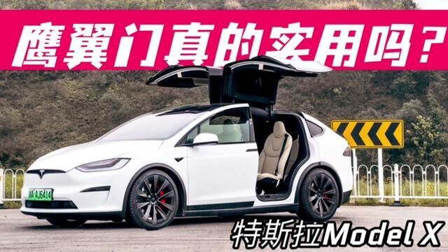 特斯拉Model X的鹰翼门真的实用吗? #特斯拉 #特斯拉modelx #米帅试车