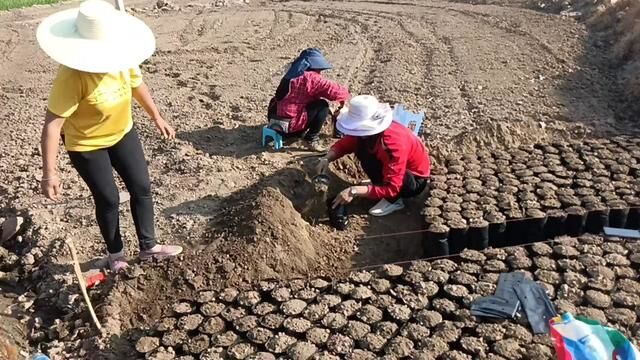 我们在玩泥土,想知道点进来看#泥巴