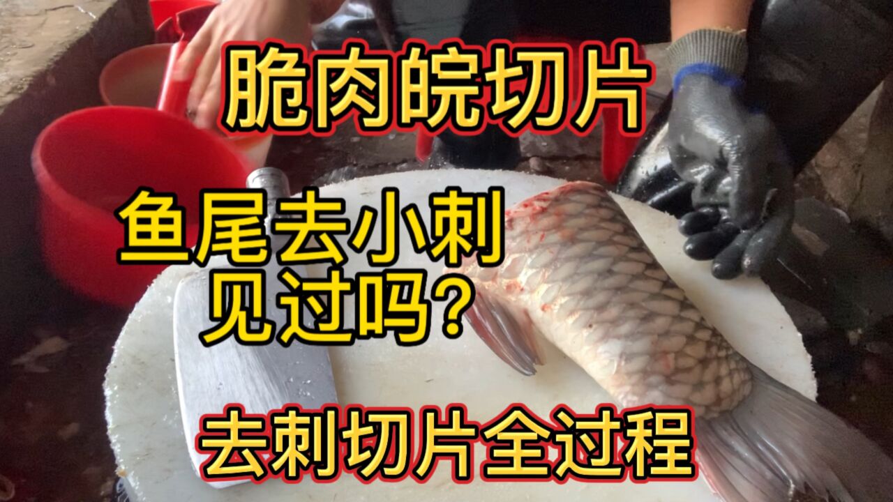 脆肉皖鱼切片 鱼尾也可以去小刺 喜欢的可以看一下处理过程。 #杀鱼技术 #脆肉皖_腾讯视频
