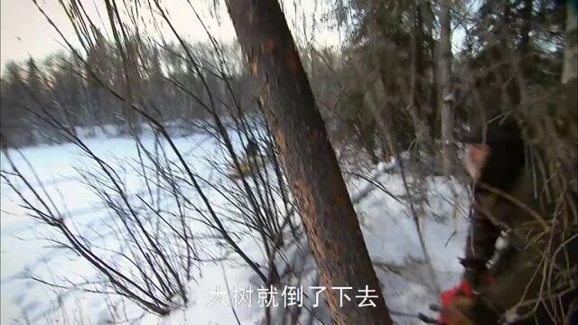 d83:马蒂悲惨的开局#山地硬汉#荒野求生