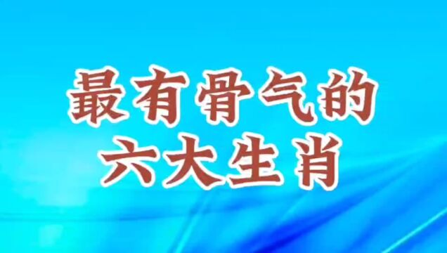 最有骨气的六大生肖,看看有你吗