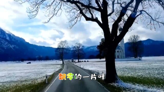 韩雪《飘雪》忧郁的一片天飘着纷飞的雪花和黄叶,就像你我的终结