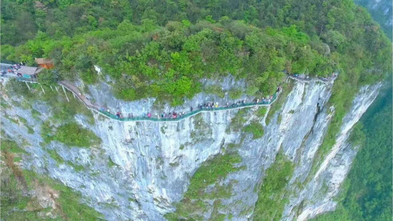 张家界文旅局:4人在天山门景区跳崖,自杀前均服毒