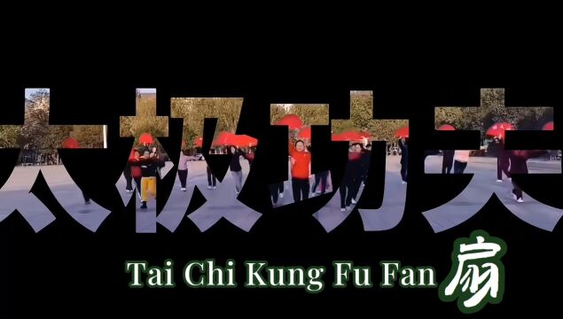 太极功夫扇(Tai Chi Kung Fu Fan),来自太极之乡的太极功夫扇,看老太太们练的多起劲,这身肢,一看就知道练过太极拳!