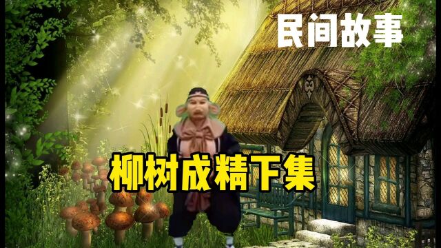 民间故事:柳树成精下集