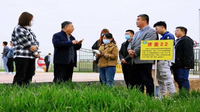 乡村振兴看德州|德州市陵城区义渡口镇搭建“1+9+4+N”实施架构 用数字赋能乡村振兴