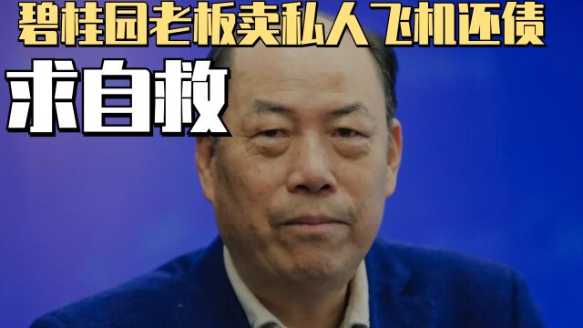 碧桂园创始人卖私人飞机还债?对比许家印,为何还债态度完全不同