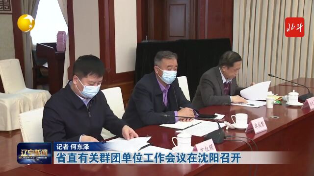 省直有关群团单位工作会议在沈阳召开