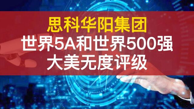 思科华阳集团获世界500强和世界5A品牌