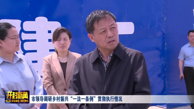 市领导调研乡村振兴“一法一条例”贯彻执行情况