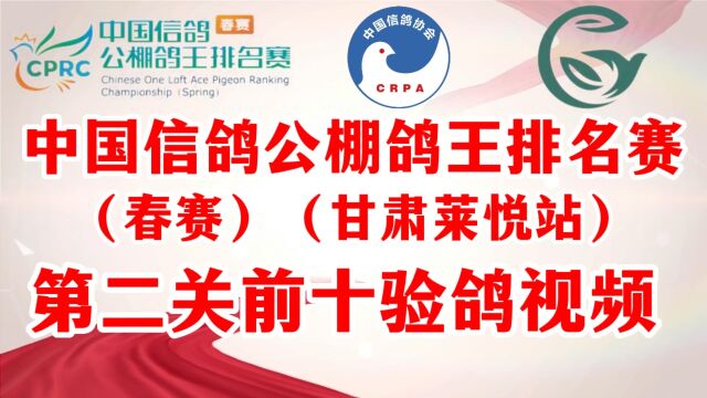 中国信鸽公棚鸽王排名赛春赛甘肃莱悦站 第二关比赛前十验鸽