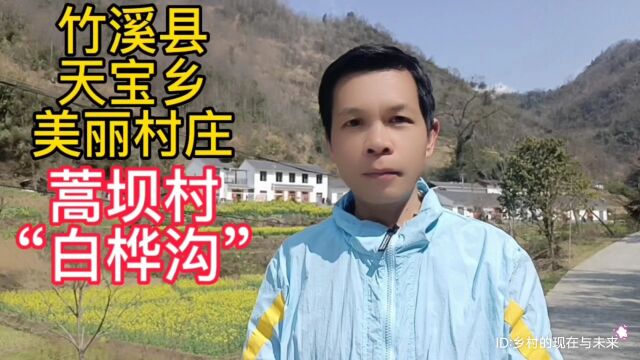 湖北省十堰市竹溪县天宝乡美丽村庄:蒿坝村“白桦沟”