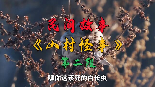 民间故事《山村怪事》第二段