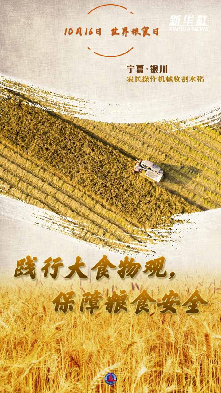 世界粮食日:践行大食物观,保障粮食安全