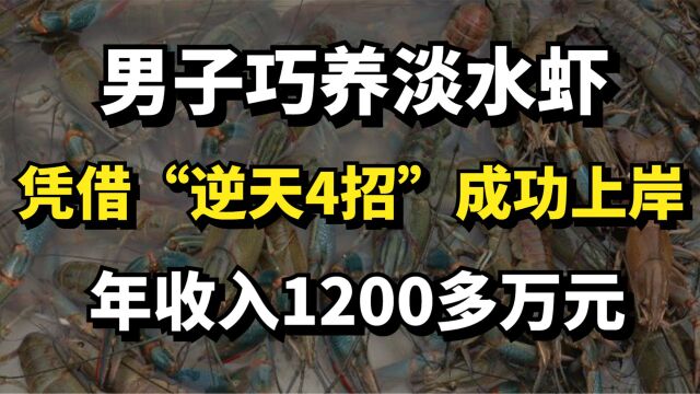 男子巧养淡水虾,凭借“逆天4招”成功上岸,年收入达1200多万元