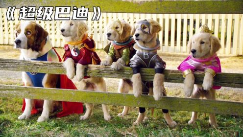 五只狗狗获得外星神环，拥有了5种不同的超能力，成为了超级英雄