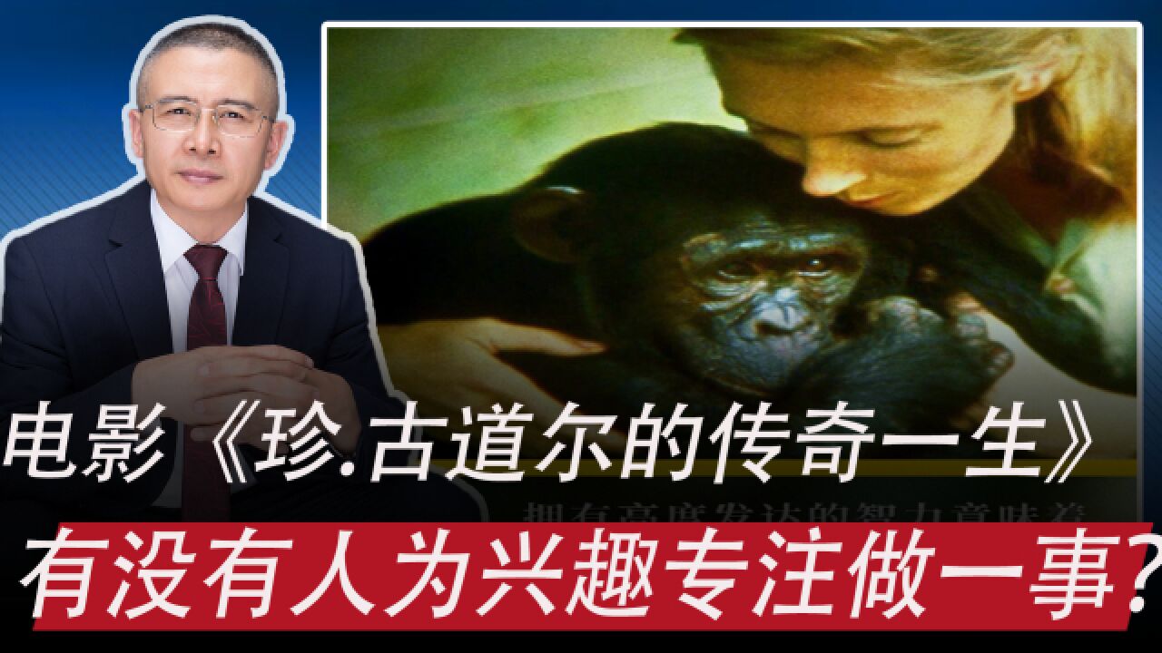 电影《珍.古道尔的传奇一生》:还有没有人为兴趣一生专注做一事_高清1080P在线观看平台_腾讯视频
