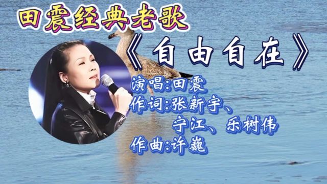 怀旧歌曲!田震一曲《自由自在》歌词走心婉转,动听旋律特有嗓音让人回味无穷,百听不腻!