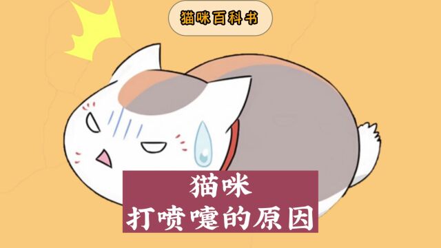 猫咪一打喷嚏就是感冒?科普猫咪打喷嚏原因