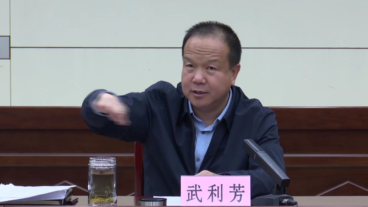 【时政要闻】县长武利芳主持召开2023年第11次重点项目调度会