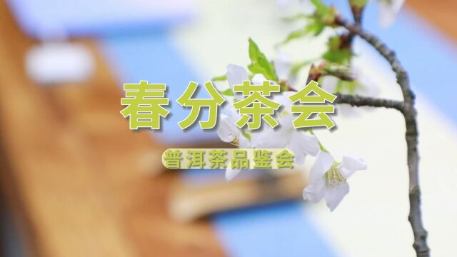 春茶茶会!专业茶学老师教你按季节喝茶、科学饮茶、健康饮茶