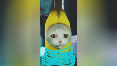 香蕉猫被外星人绑架了！