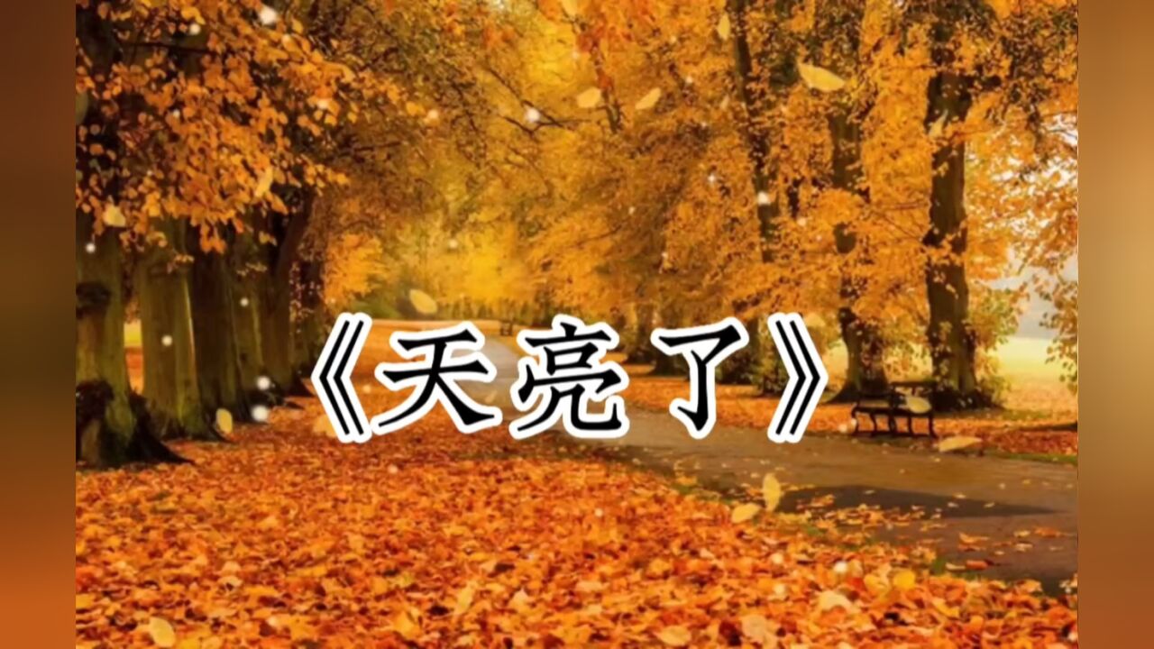 《天亮了》#韩红经典著作