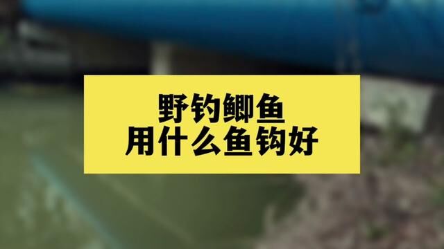 野钓鲫鱼的几种鱼钩#钓鱼 #鱼钩#钓鱼冷知识