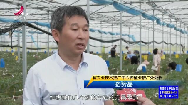 省农业农村厅开展“我为群众办实事”志愿服务活动