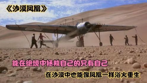 《凤凰劫》飞机遭遇沙尘暴迫降沙漠，他们如何自救