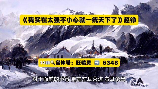 《我实在太强不小心就一统天下了》赵铮全文TXT阅读◇无删减