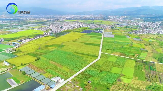 财政强农惠农 助推乡村振兴丨耕地地力保护补贴