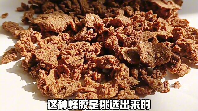 纯正蜂胶多少一斤蜂胶作用与功效效果怎样真的有效吗蜂胶怎么吃食用方法吃法蜂胶的好处 #蜂胶 #蜂王浆 #蜂蜜 蜂皇浆蜂巢蜜蜂花粉关注小牛蜂蜜蜂知识蜂...