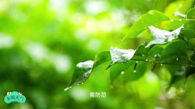 @丹东人,降雨、断崖式降温......