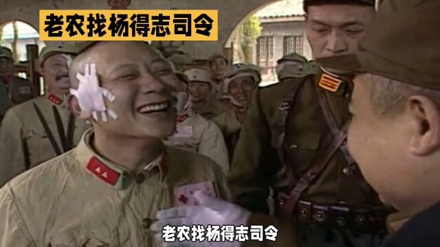 老农找杨德志司令