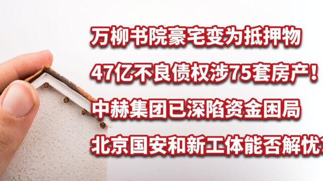 万柳书院豪宅变抵押物!中赫集团陷资金困局,北京国安能否解忧?