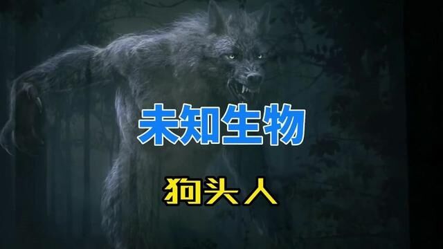 未知生物——狗头人#神秘事件 #未解之谜 #奇闻异事 #神秘生物 #探索未知