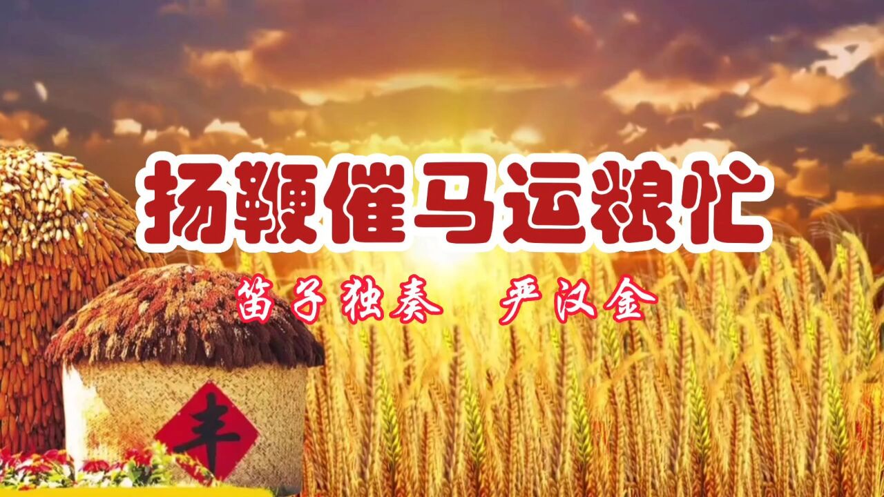 扬鞭催马运粮忙/笛子独奏/严汉金老师