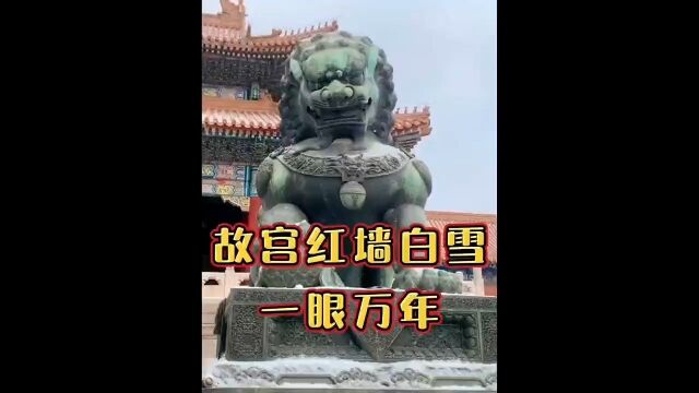 寒冬京城无寻处,唯念故宫一檐雪.