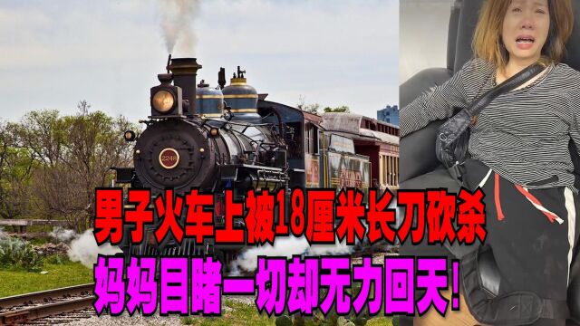 骇然!男子火车上被18厘米长刀砍杀,妈妈目睹一切却无力回天!